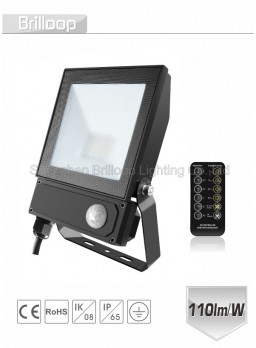 F17.AC-PIR  Floodlight